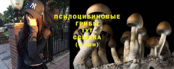 mdpv Баксан