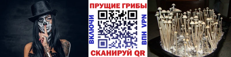 хочу наркоту  Верхняя Салда  Галлюциногенные грибы мухоморы 
